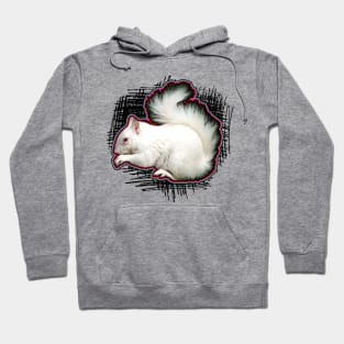 albino squirrel Hoodie